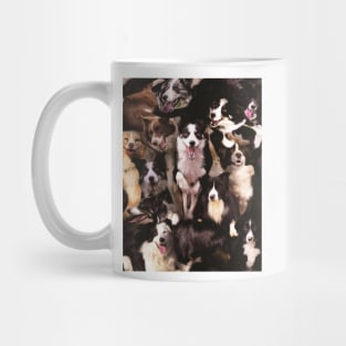 Border Collies Mug